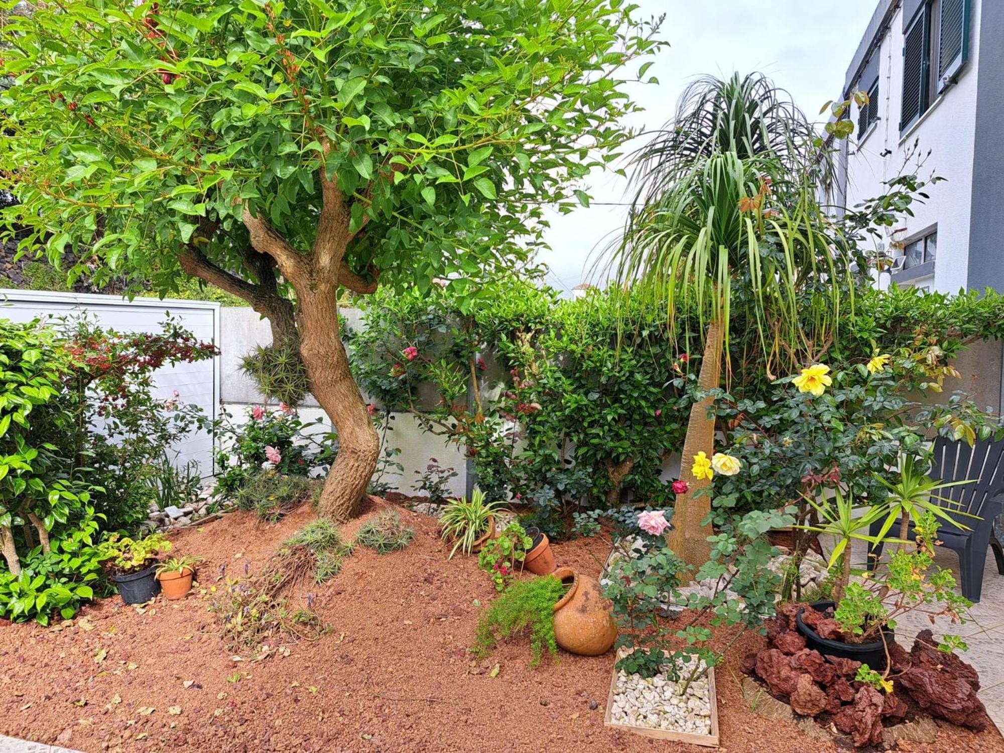 Friends'House - Azores Lagoa  Exterior foto